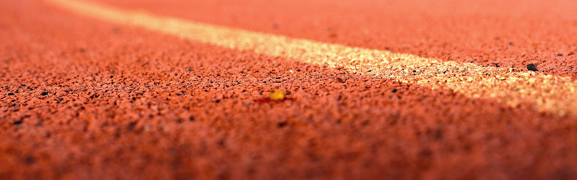 Rubber Crumb Surface