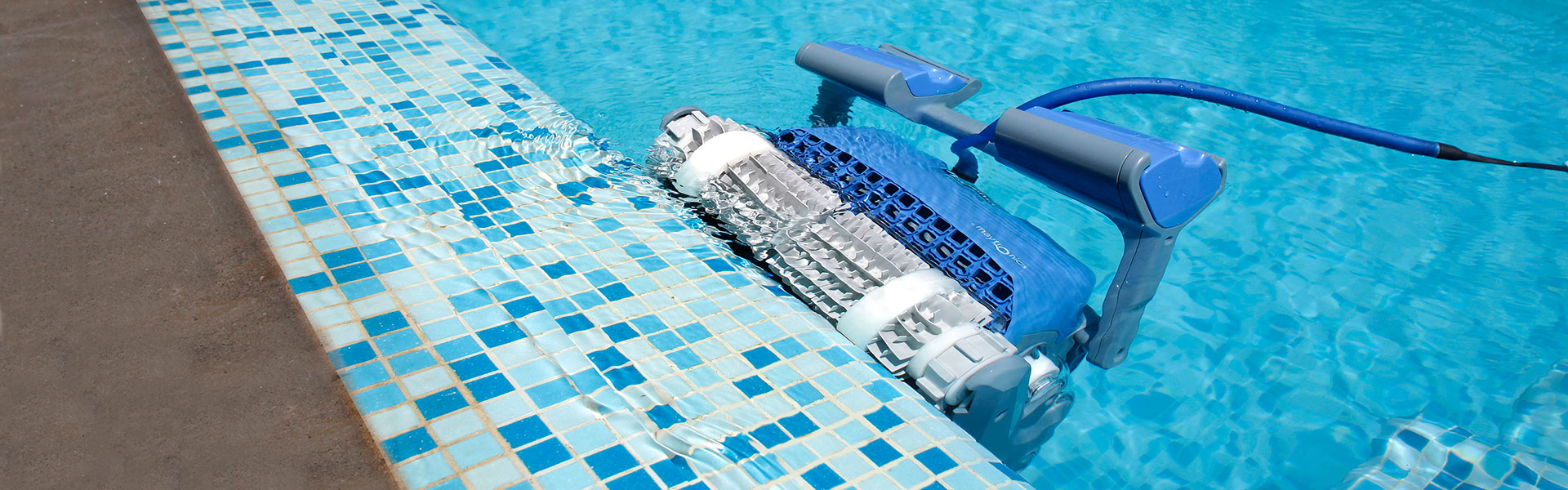 Dolphin Pool Robot Cleaner