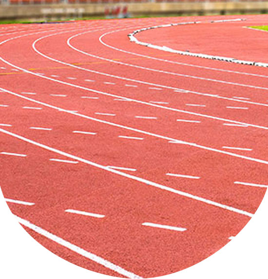 Rubber crumb systems