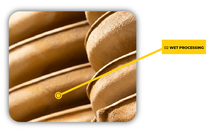 Wet Processing