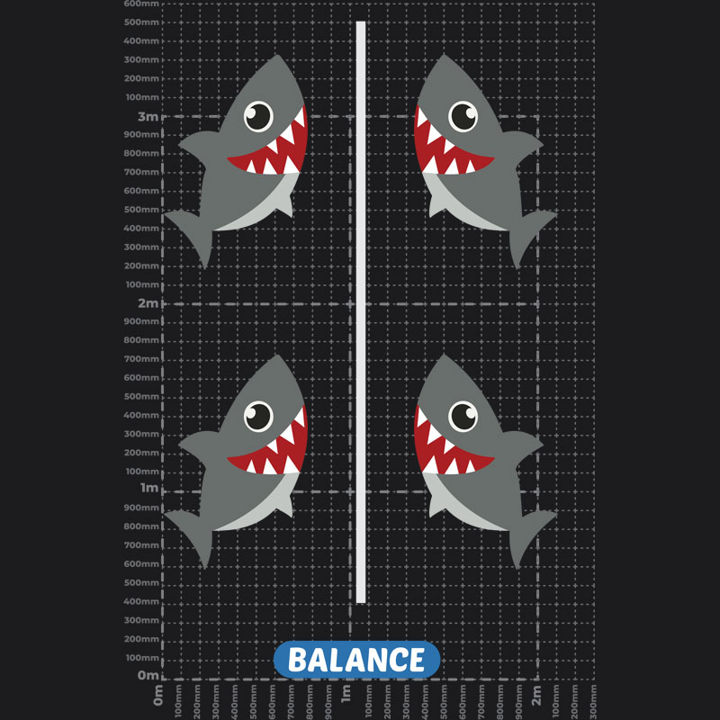 Shark Balance Playground Marking