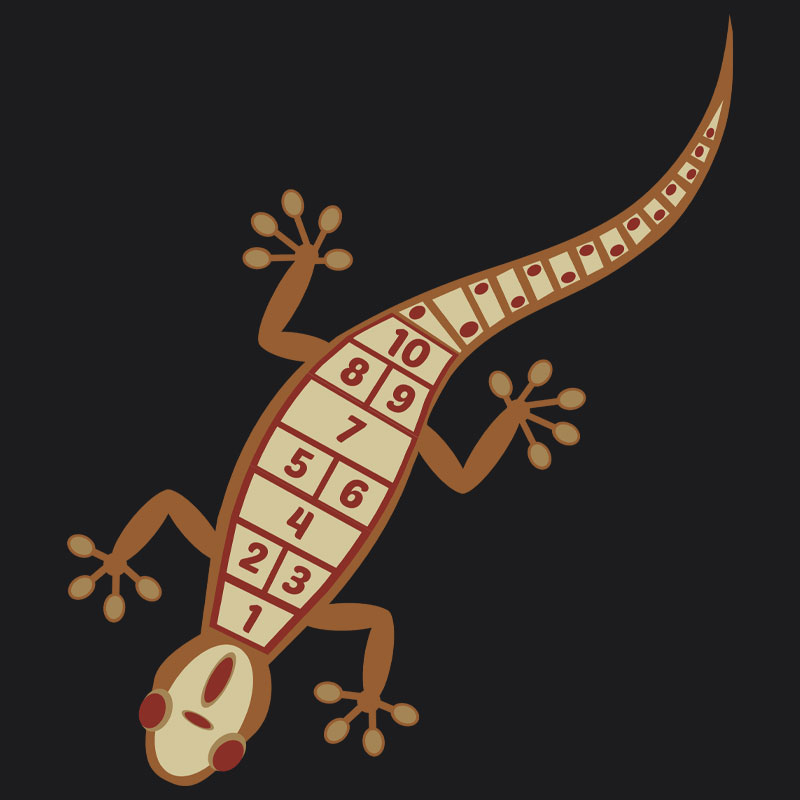 Indigenous Lizard Playground Marking