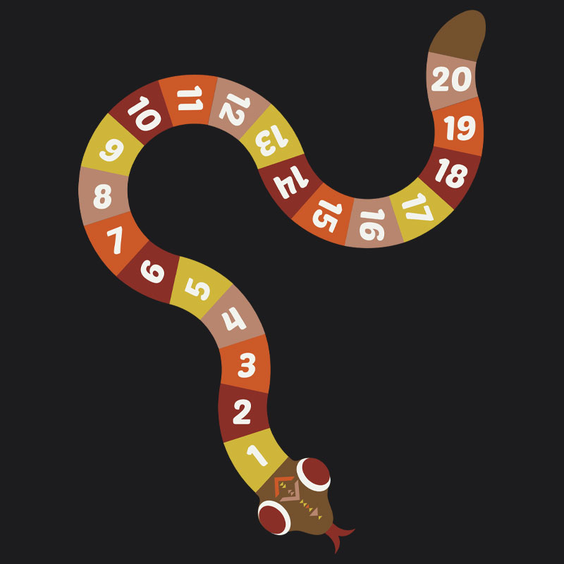 Indigenous Snake Playground Marking