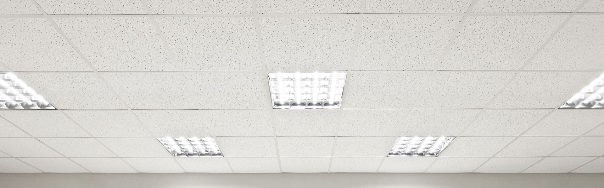 Stain Blocking Ceiling Paint