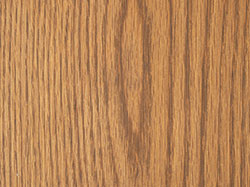 Mud Wood Tint