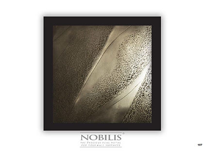 Nobilis Brochure Cover