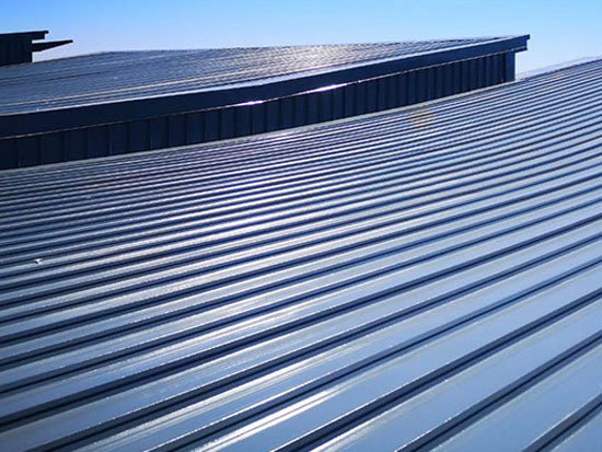 Polyurethane Waterproof Roof