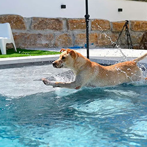 AlkorPlan Vogue Pool Membrane