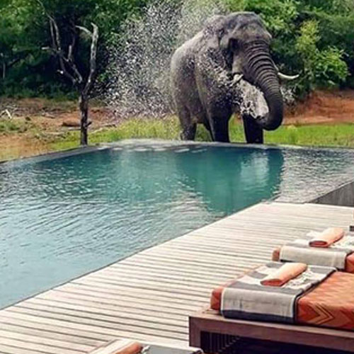 PVC Pool Membranes