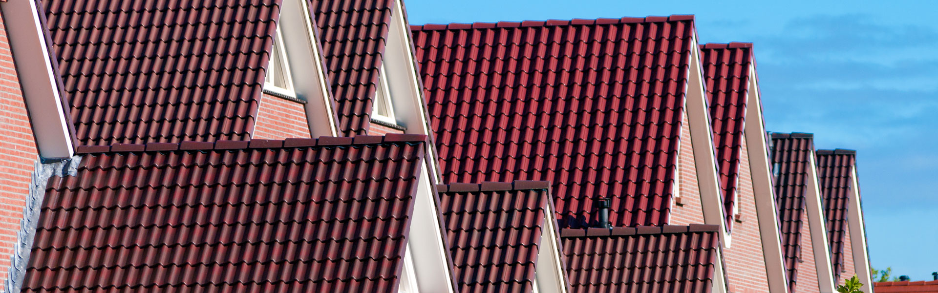 Roof Coating