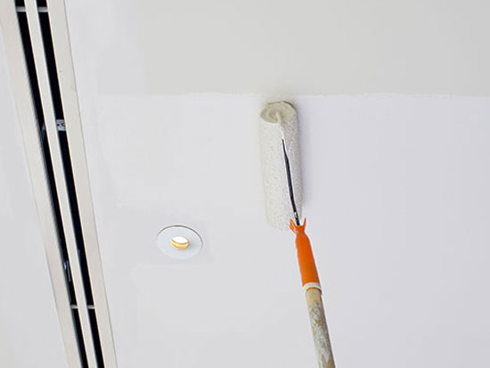 Paint for Ceilings