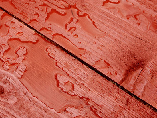 Polyurethane for Exterior Wood img 