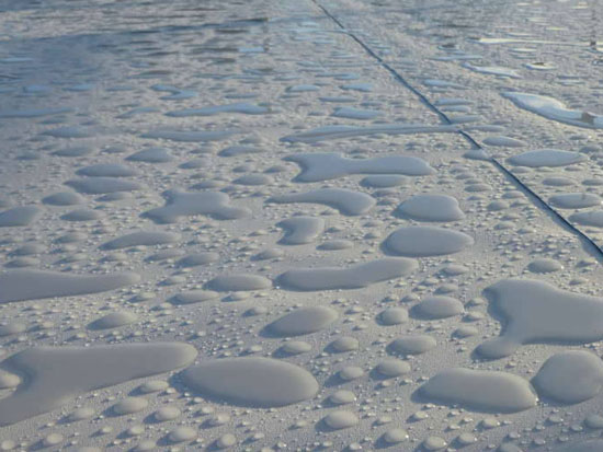 Synthetic Waterproofing Membranes